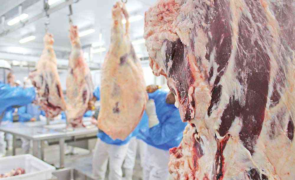 Bovinos serão processados em planta com capacidade de produção de 500 toneladas de carne ao mês -
Crédito: Divulgação