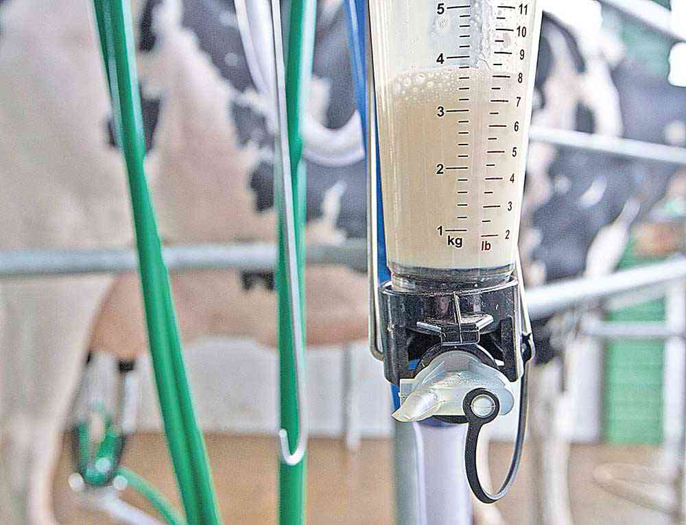 Preço do leite para o produtor  fica estável no Estado em junho