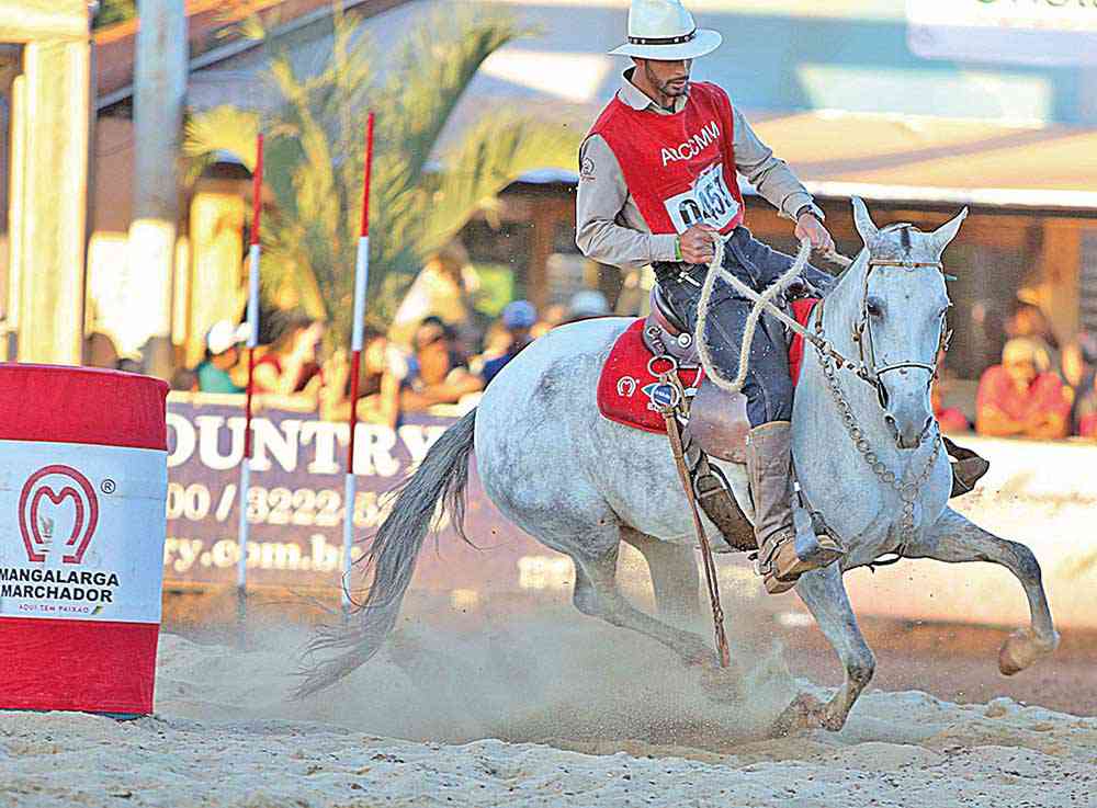 Exposição de Mangalarga pode girar R$ 25 milhões