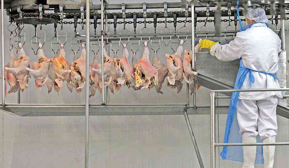 Valor Bruto da Produção Agropecuária é estimado em R$ 602,8 bi neste ano