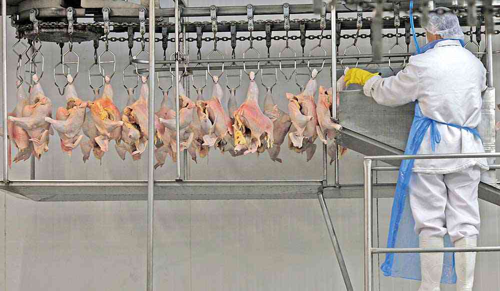 Produção de carnes bovina, suína e de frango impulsiona o resultado previsto para 2019 - Crédito: REUTERS/Paulo Whitaker