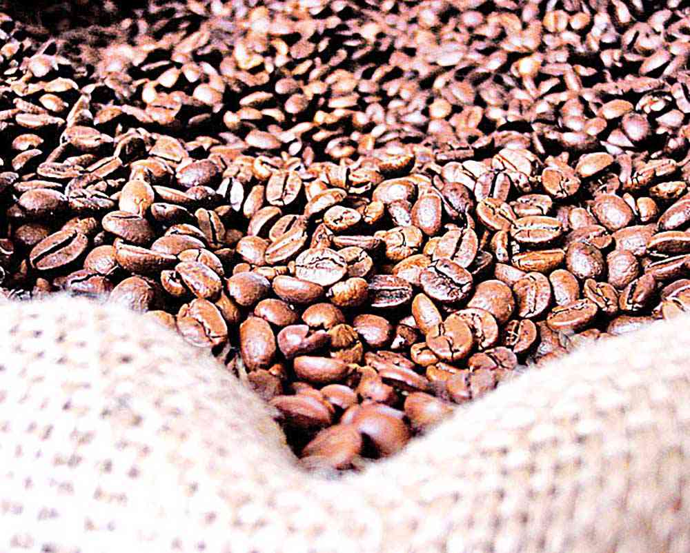 Produtores de café já observam floradas em algumas áreas no Brasil