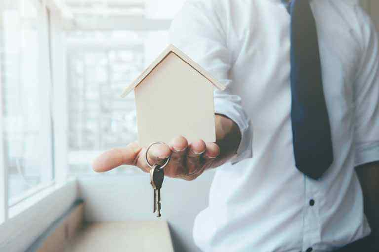 Holding patrimonial