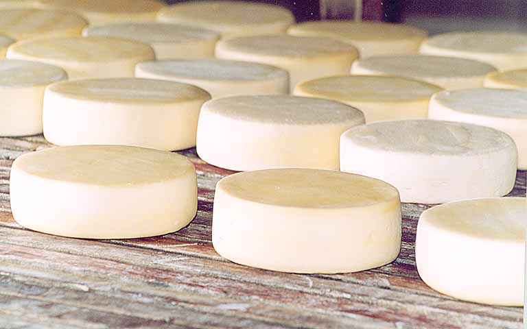 Queijo Minas Artesanal é um dos produtos que dependeria dessa atualização da legislação estadual e nacional -
Crédito: Divulgação/Seapa