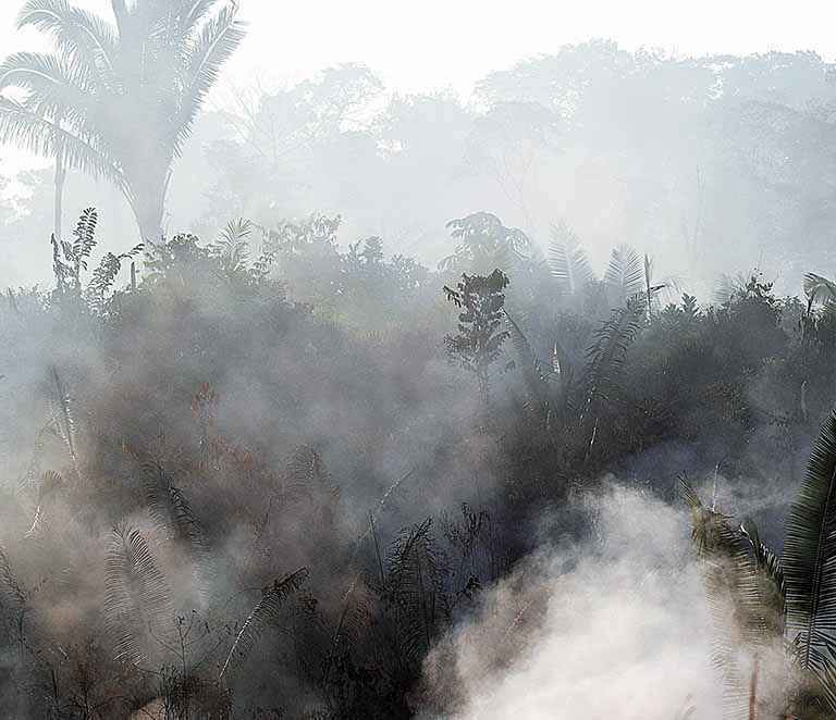 Decreto vai proibir uso de fogo em limpeza de áreas