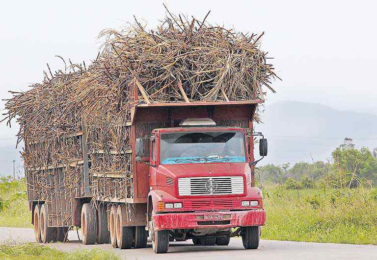 Do total de cana produzida no Estado, 38,6 milhões de toneladas serão voltadas à fabricação de etanol - 
Crédito: Sergio Moraes / Reuters