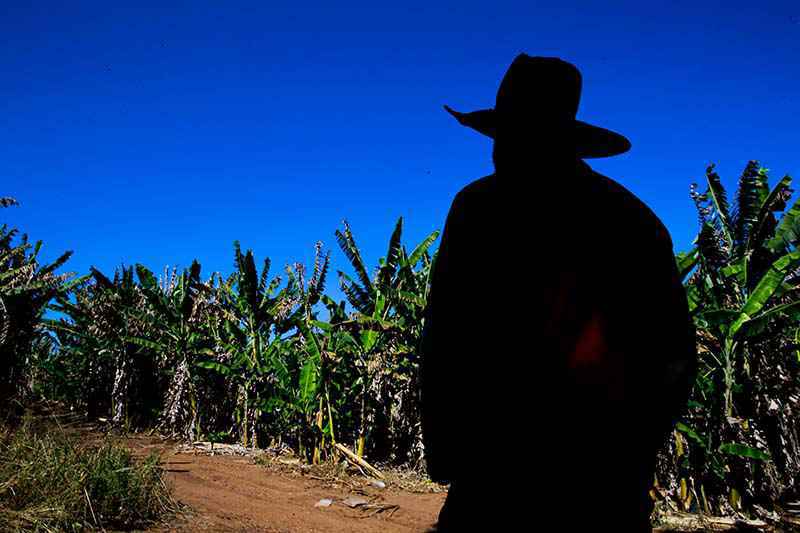 Operações de crédito rural somam R$ 38,9 bilhões, informa o Mapa