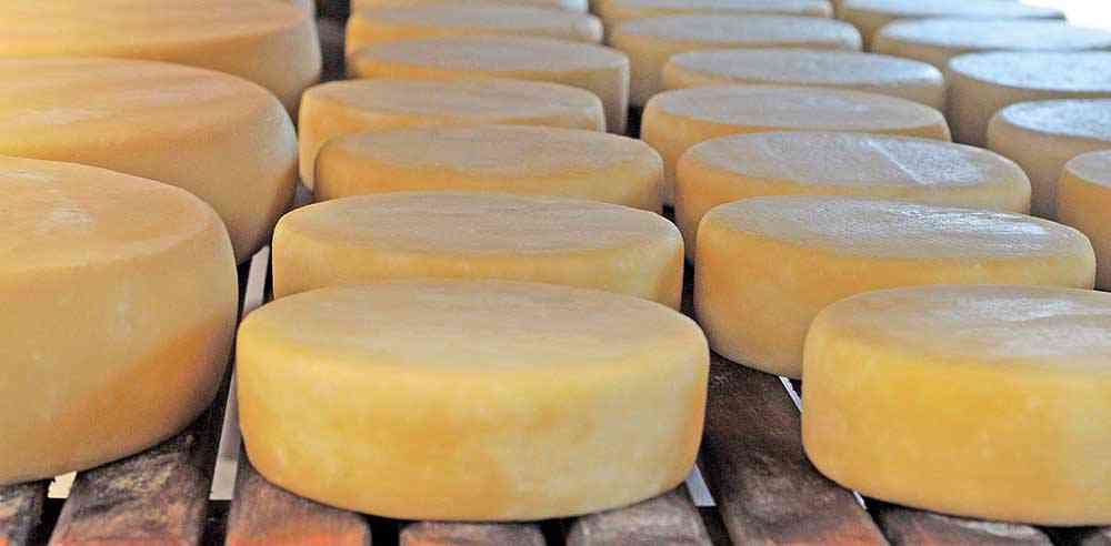 Brasil deve priorizar vendas de queijos à China