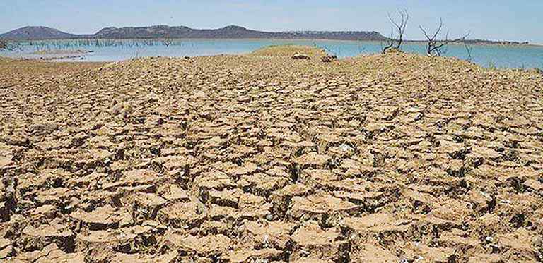 Governo vai disponibilizar linhas especiais para produtores rurais afetados pela seca