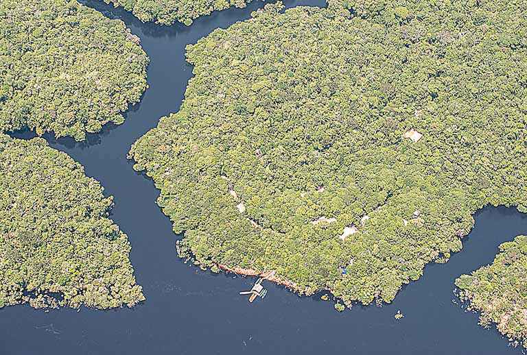Amazônia, soberania e governança global