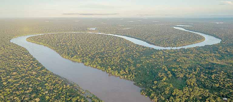 Dia da Amazônia: o que comemorar?