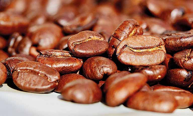 Falta de capital deve resultar em queda na produção de café em 2020