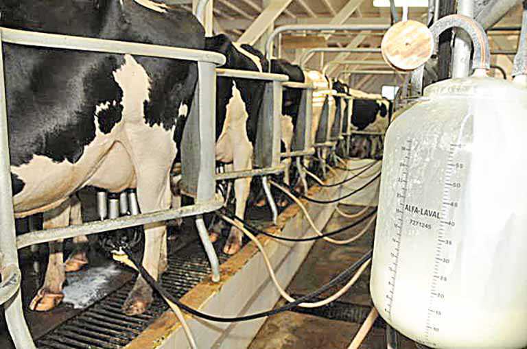 CENSO AGRO | Altas em estabelecimentos e áreas em Minas superam as do País