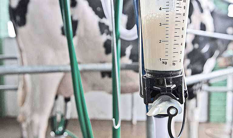 Nova norma prejudica os pequenos produtores de leite