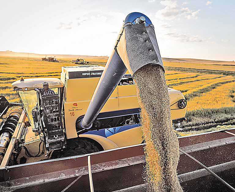 Produtividade no campo está em alta no País