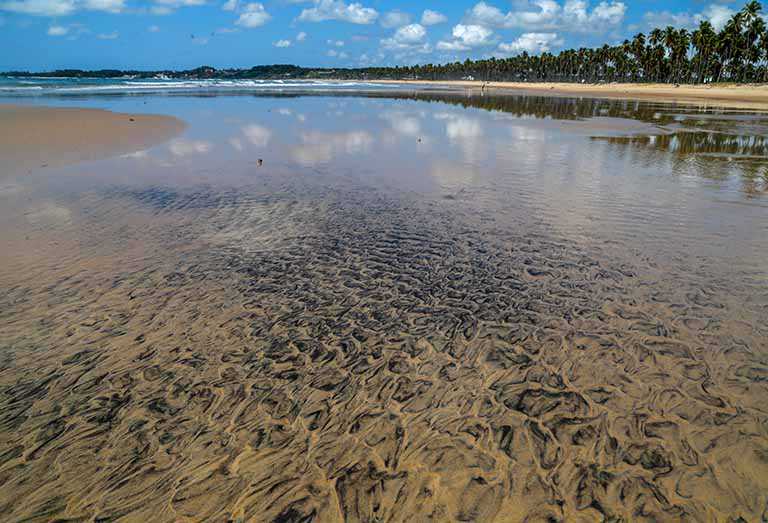 O maior desastre ambiental