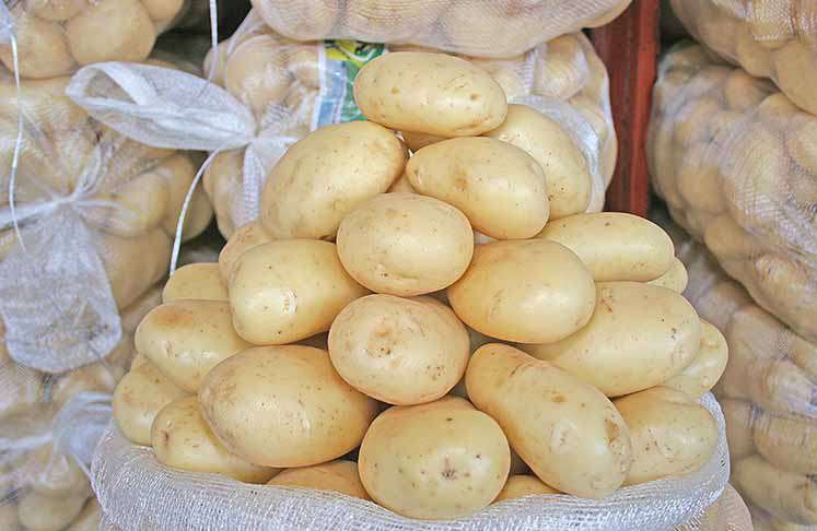 BOLETIM PROHORT | Batata dá trégua na cesta do consumidor brasileiro