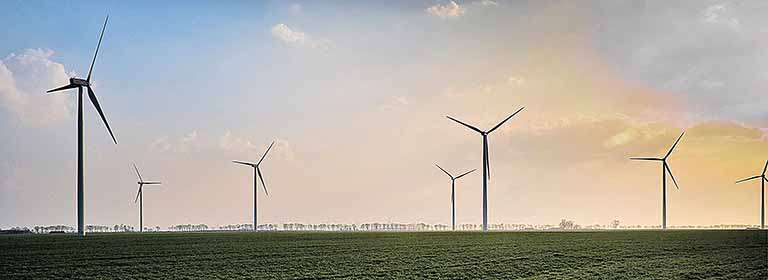 Budweiser será 100% “energia limpa”