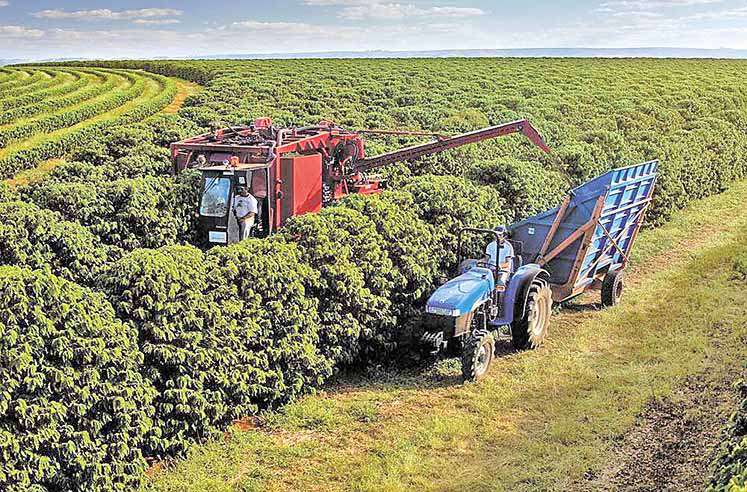 Demanda de crédito rural  aumenta 15% no Estado