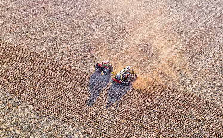 Agrofy inicia processo de consolidação no Brasil