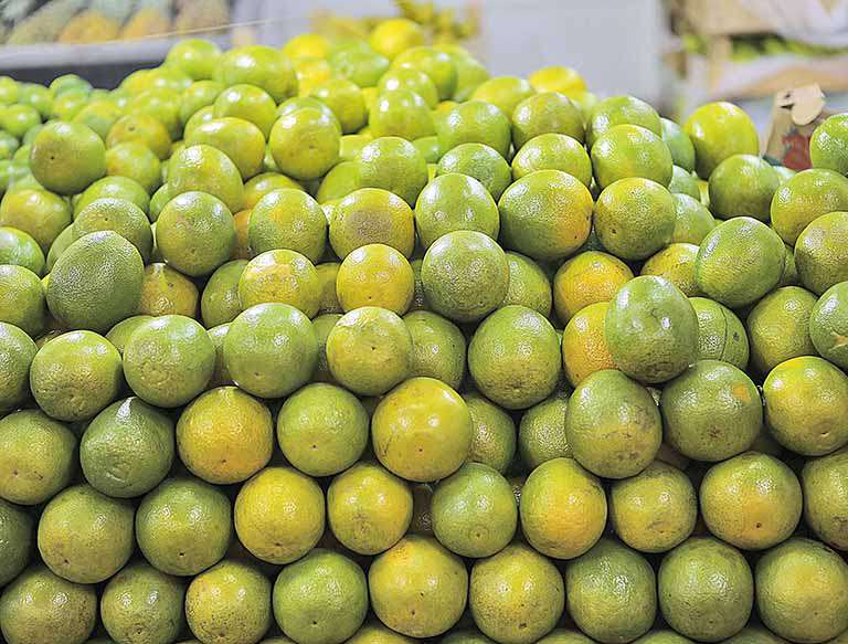 Exportações de suco laranja brasileiro têm crescimento expressivo em início de safra
