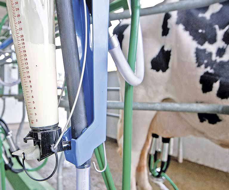 Preço do leite volta a ter queda em Minas