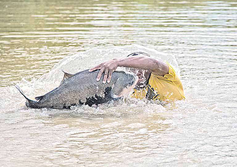 Ciclo inicia e limita pesca em bacias mineiras