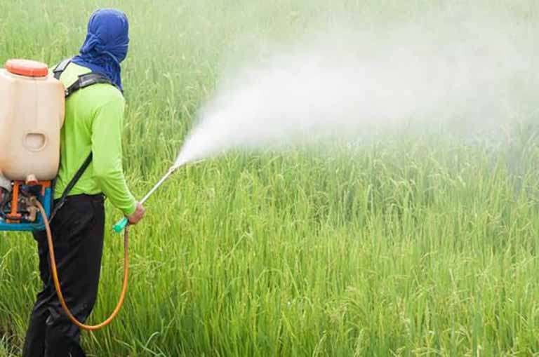 Ação recolhe 15 t de embalagens de agrotóxicos no Sul de MG