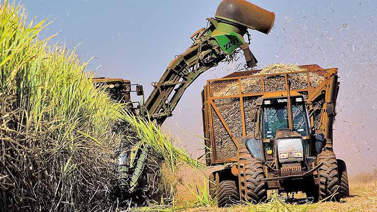 Valor da produção agropecuária recua 1,8% em 2019 no Estado