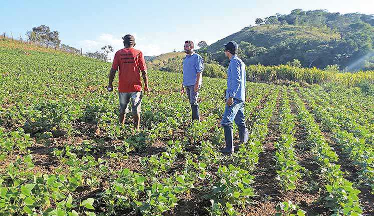Agricultores familiares ganham mais  R$ 1 bilhão para financiamentos no campo