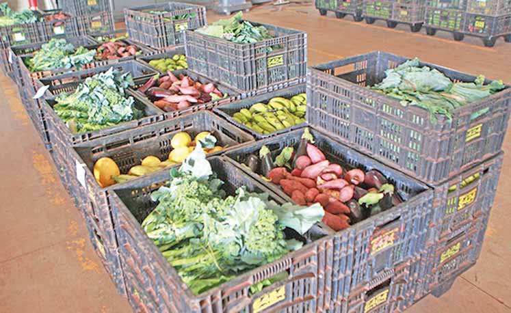 Oferta de produtos cai 1,4% na Ceasa Minas