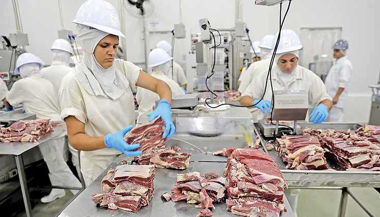 Vendas do Brasil à China iniciam ano aquecidas e sobem 126% em janeiro