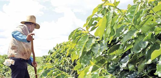CPR “Coringa” vai turbinar o agro 4.0