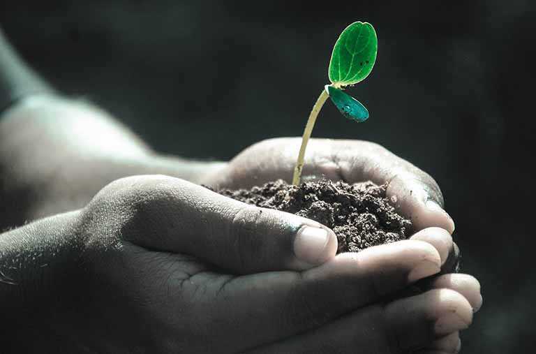 RenovaBio, a nova energia renovável do Agro