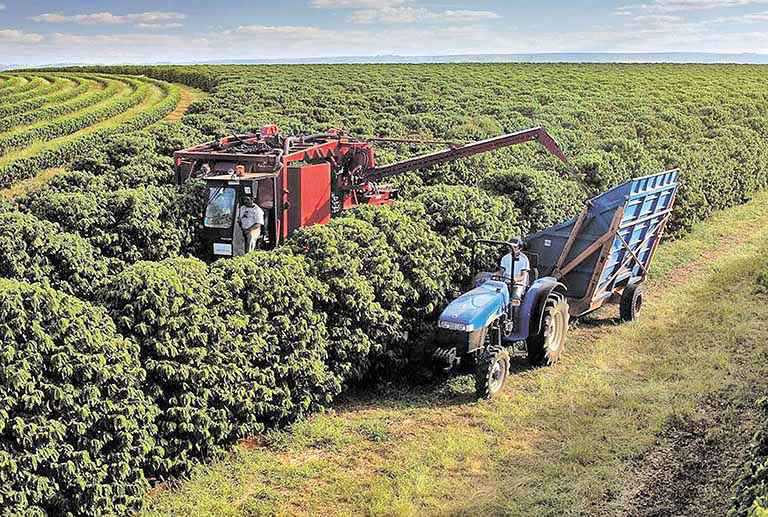 Feira de máquinas aproxima cafeicultor de novas tecnologias