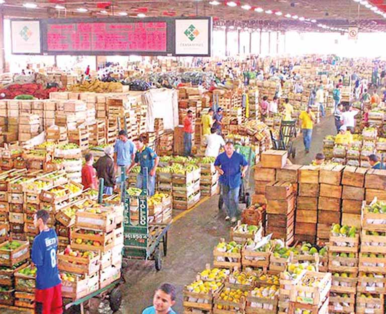 Produção e abastecimento do agronegócio estão normais