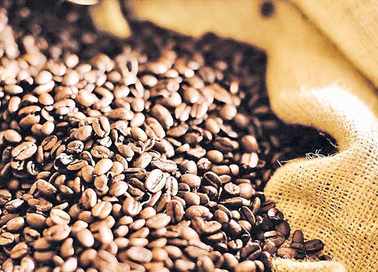 Cafés especiais: oportunidade para o Brasil