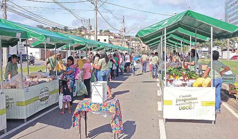 Feira Terra Nossa percorre diversos bairros da cidade, com vendas de hortaliças, frutas, mel, entre outros | Crédito: Divulgação/ Emater-MG