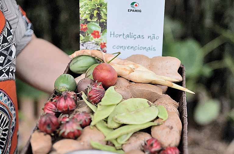 Projeto vai ajudar a recuperar hortas no Sul de MG