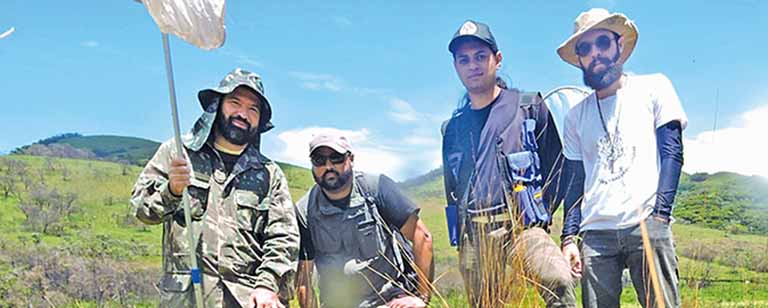 Novas espécies de libélula em Minas