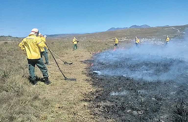 Manejo de fogo pode ser usado em Minas Gerais
