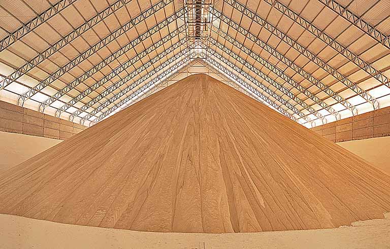 Sem salvaguarda, País pode exportar mais à China