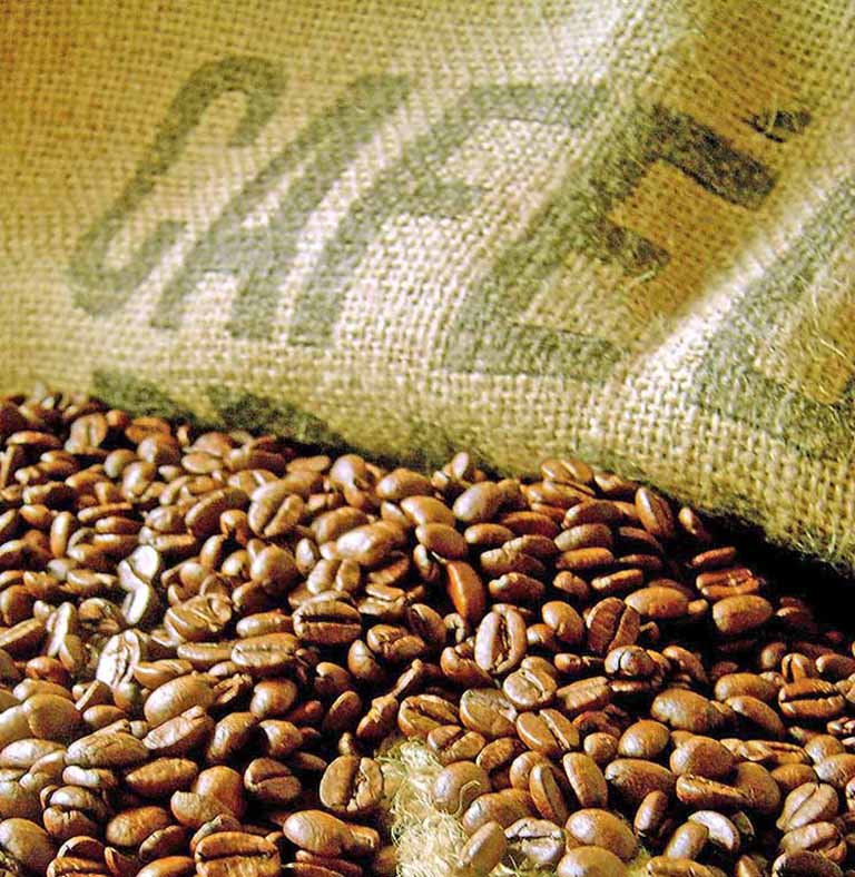 Oferta global de café deve ter superávit em 2020/21