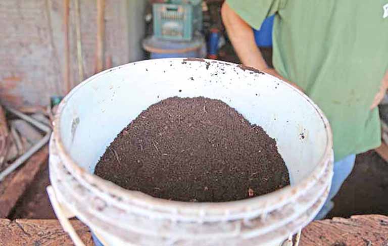 Epamig testa matérias-primas para desenvolver produto de maior qualidade