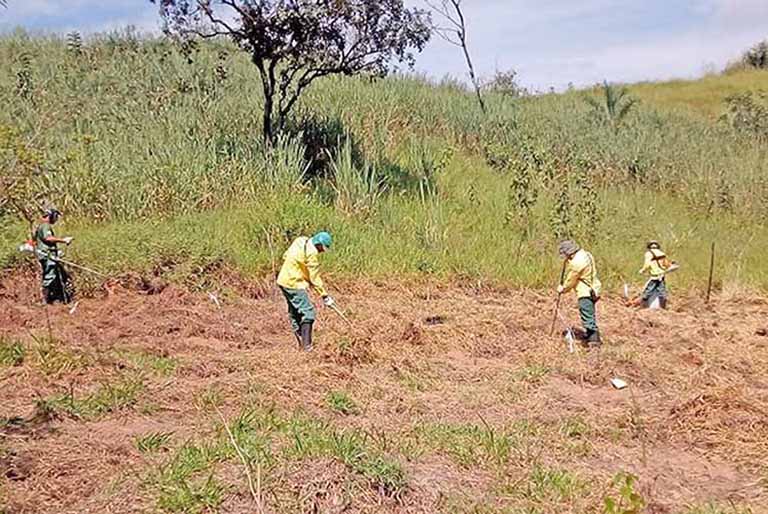 IEF realiza preservação dos parques e estações naturais