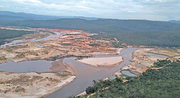 Região que foi garimpada se regenera