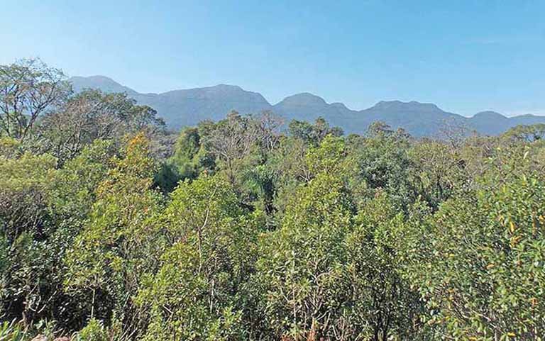 Comam aprova novo modelo de licenciamento ambiental em BH