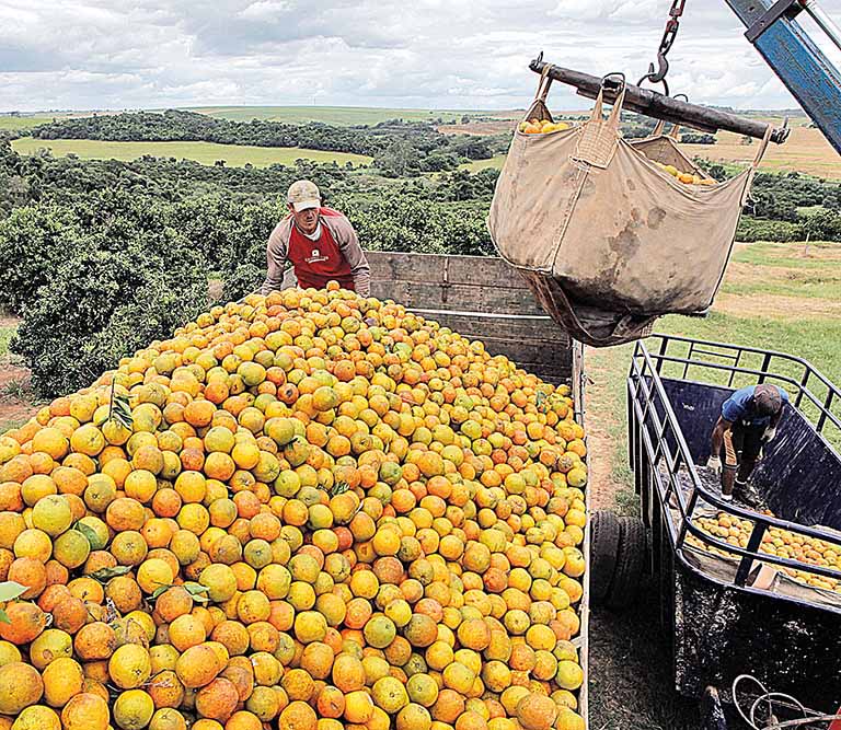 Estoques finais de produto devem atingir maior patamar desde 2015 e ajudar indústria em 2020/21