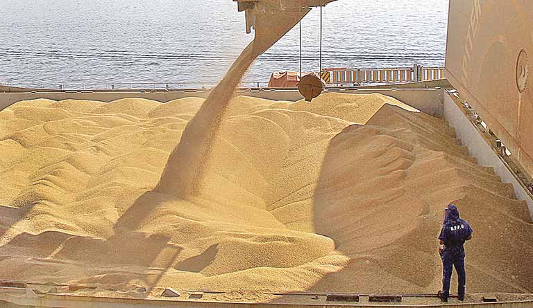 Brasil protesta contra veto tailandês de agroquímicos que pode afetar vendas