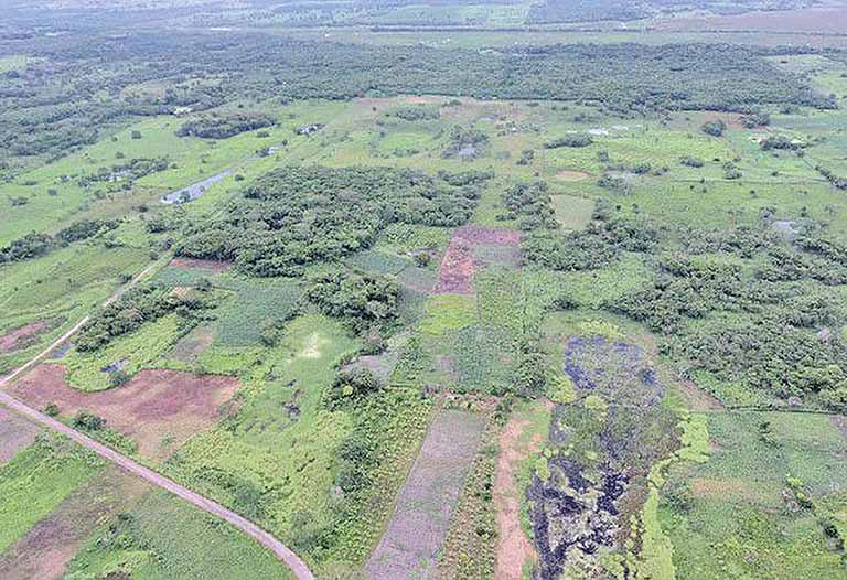 Estrutura da civilização maia é descoberta